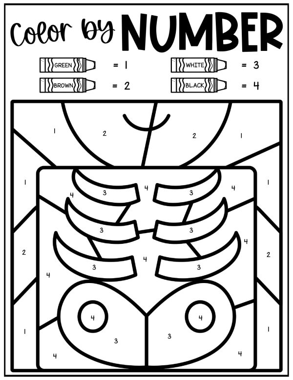X-ray "Color by Number" sheet with a 1-4 color key: green, brown, white, black