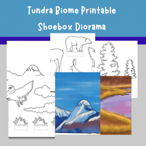 Tundra biome printable shoebox diorama