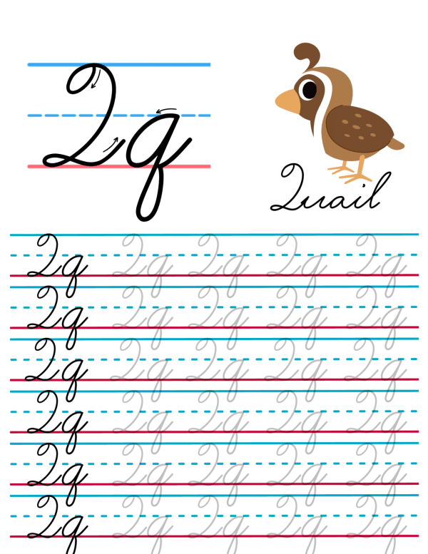 Letter Q worksheets that parents and teachers can print for kids. ... Practice writing the letter Q in uppercase and lowercase.