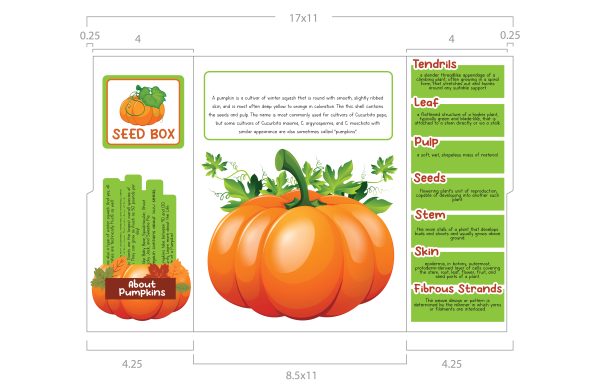 pumpkin worksheets for preschool