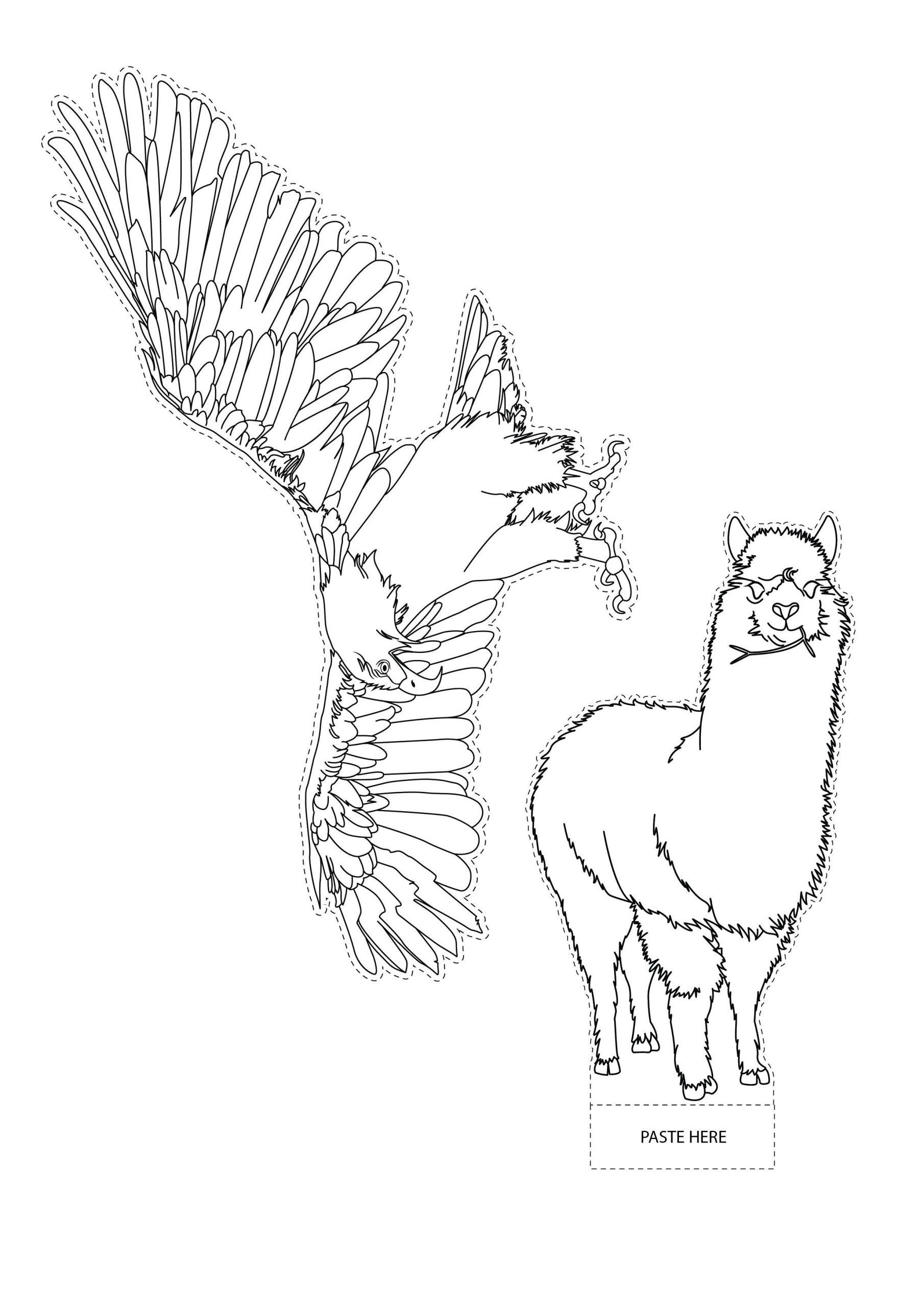 printable animal cutouts eagle cutouts llama cut outs