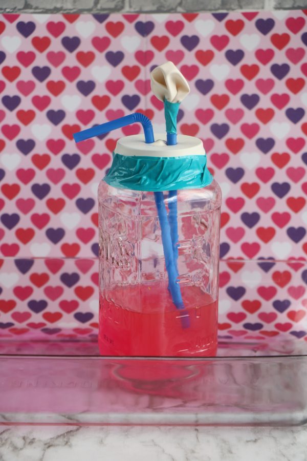 Homemade Heart Model Project an exciting and interactive way to explore the heart using a balloon mason jar and straws