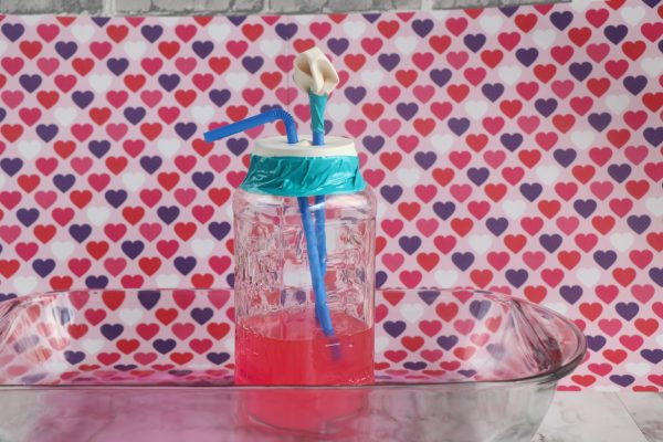 Homemade Heart Model Project an exciting and interactive way to explore the heart