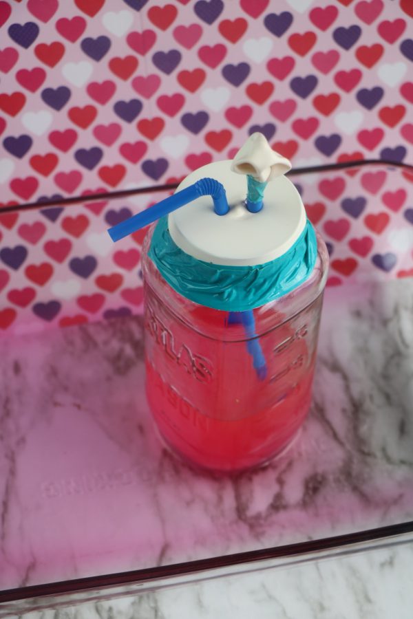 Homemade Heart Model Project an exciting and interactive way to explore the heart
