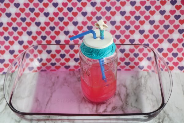 Homemade Heart Model Project an exciting and interactive way to explore the heart