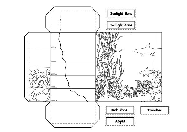 black and white cut out from Layers of the Ocean Diorama an exciting science project for children