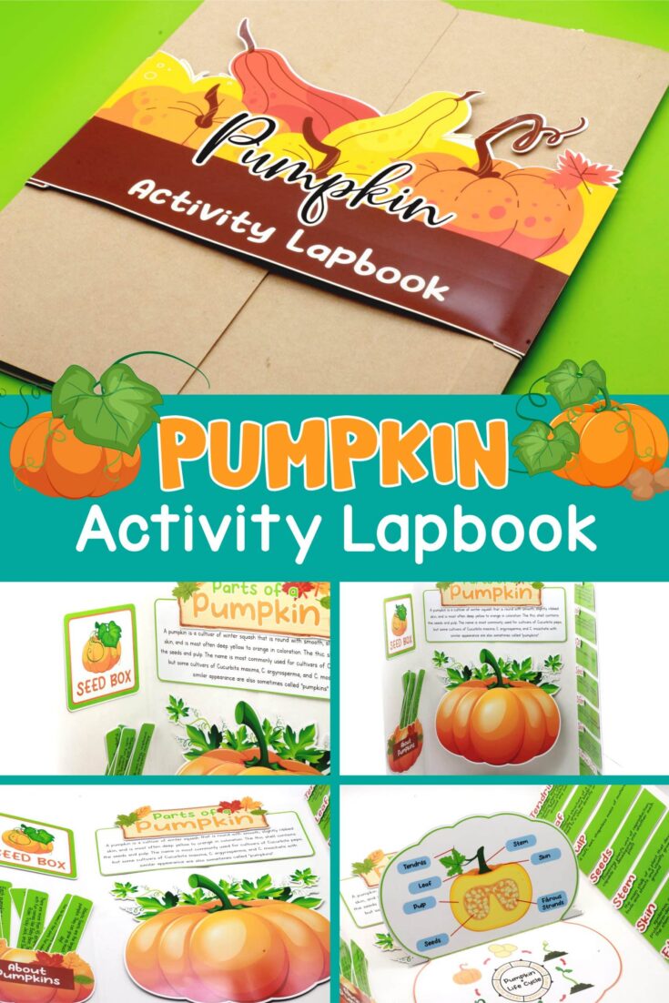 pumpkin activity lapbook printable pdf