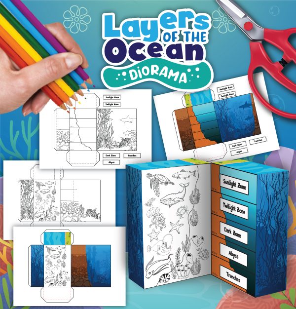 Layers of the Ocean Diorama an exciting science project for children