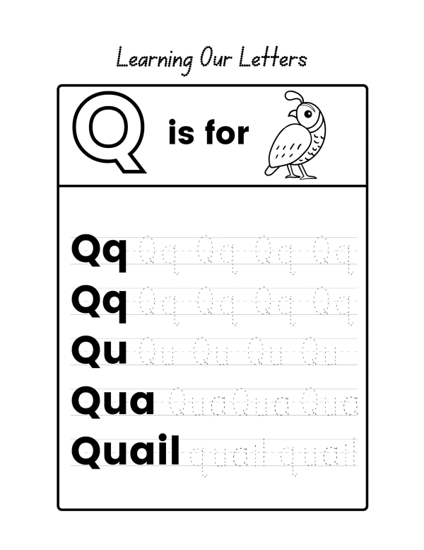 learn the letters q is for quail