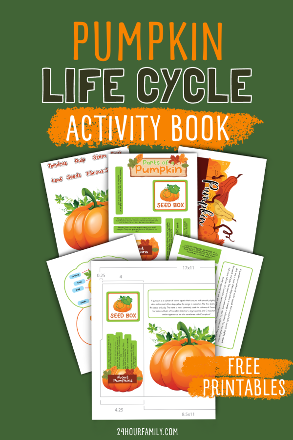 pumpkin life cycle worksheets pumpkin printables