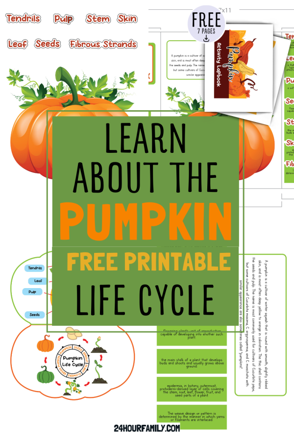 life cycle of a pumpkin printable pumpkin life cycle printable