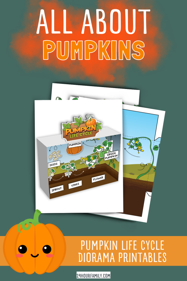 pumpkin plant life cycle printable worksheet