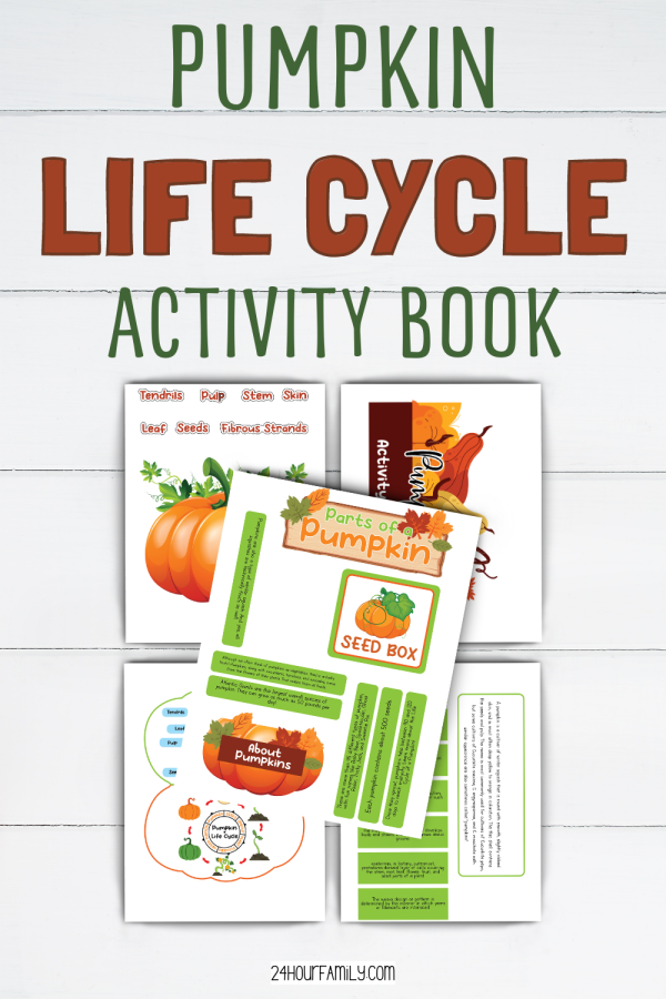 pumpkin life cycle activity book pumpkin printables
