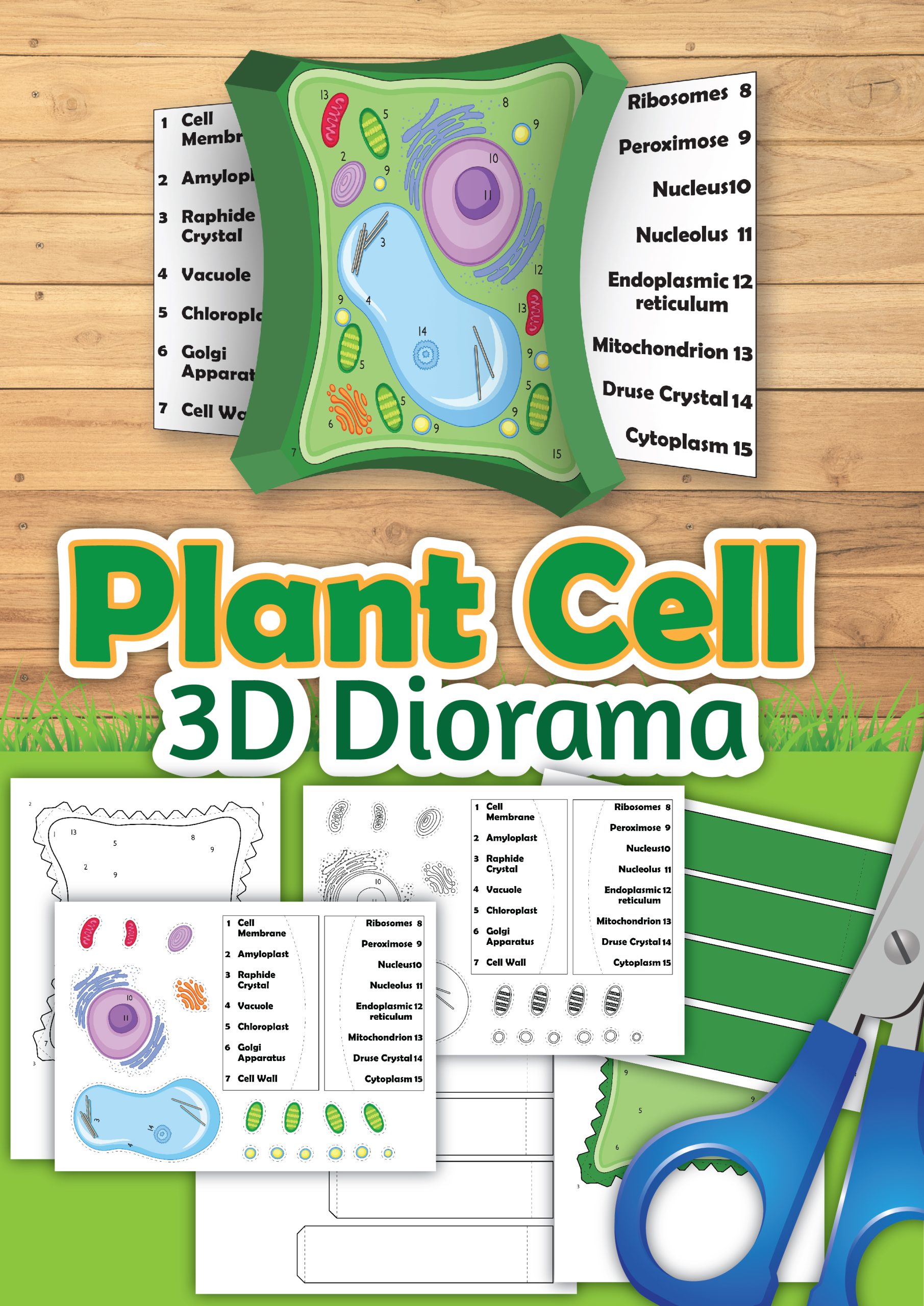 3d Plant Cell Worksheet