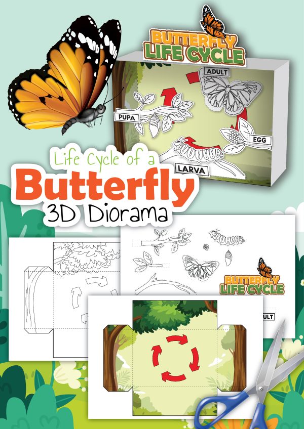 Craft kit for a 3D butterfly life cycle diorama with stages and assembly instructions