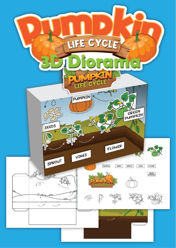 pumpkin life cycle 3d diorama printable worksheet