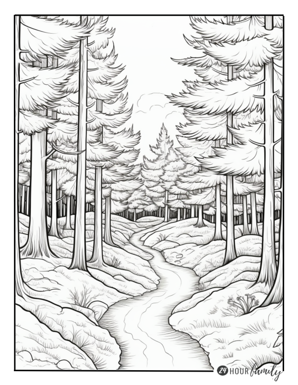trees with a lake in the forest coloring pages