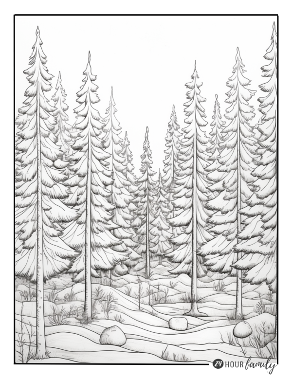 outdoor trees coloring pages