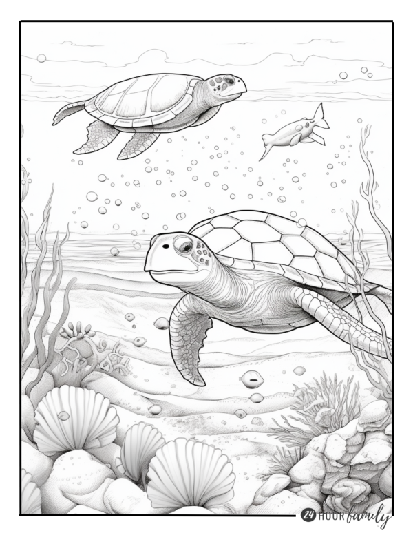 turtle coloring pages