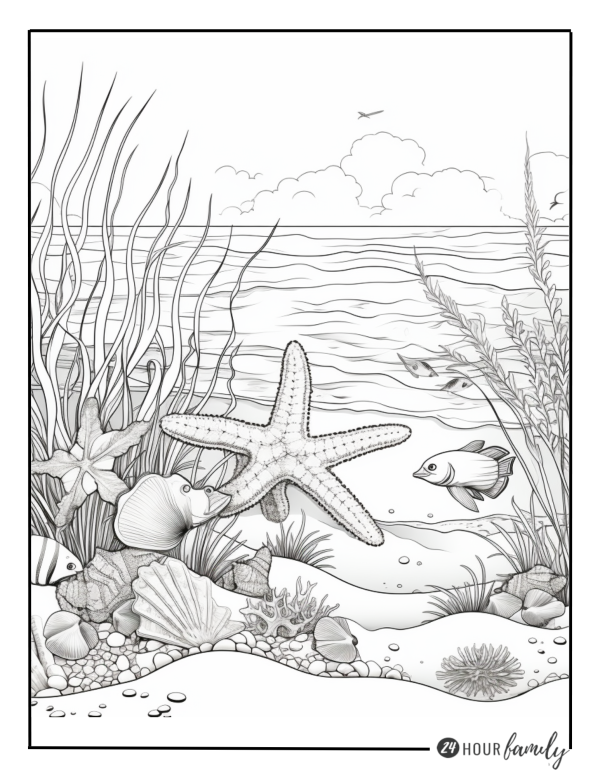 ocean starfish and sand coloring page