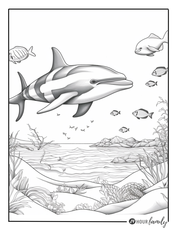 dolphin swimming coloring pages