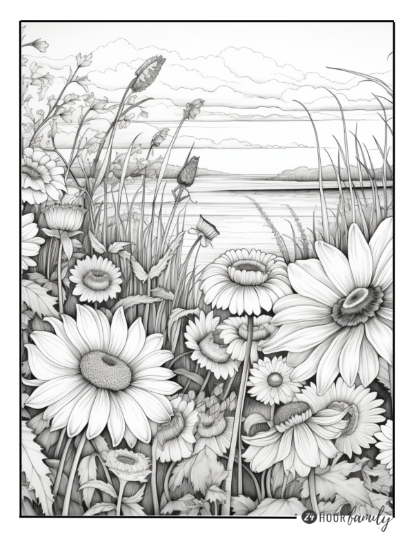 sunflowers coloring pages