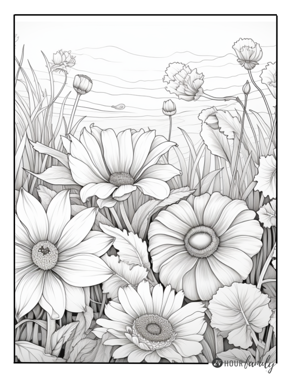 fields of flowers coloring pages