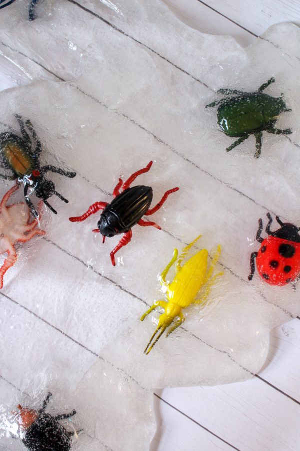 a green beetle, red beetle with long legs, ladybug, yellow insect, and black spider on a clear slime