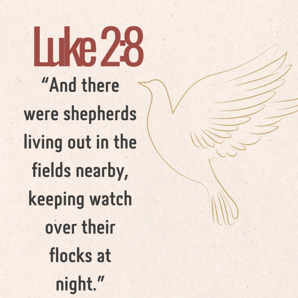 Printable advent scripture cards to celebrate advent luke 1:31