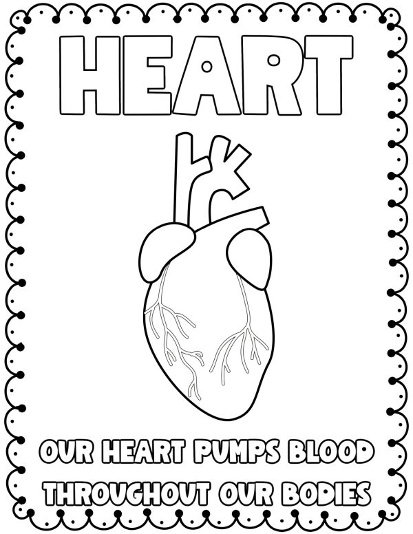 The heart coloring pages kids printable worksheet preschool 