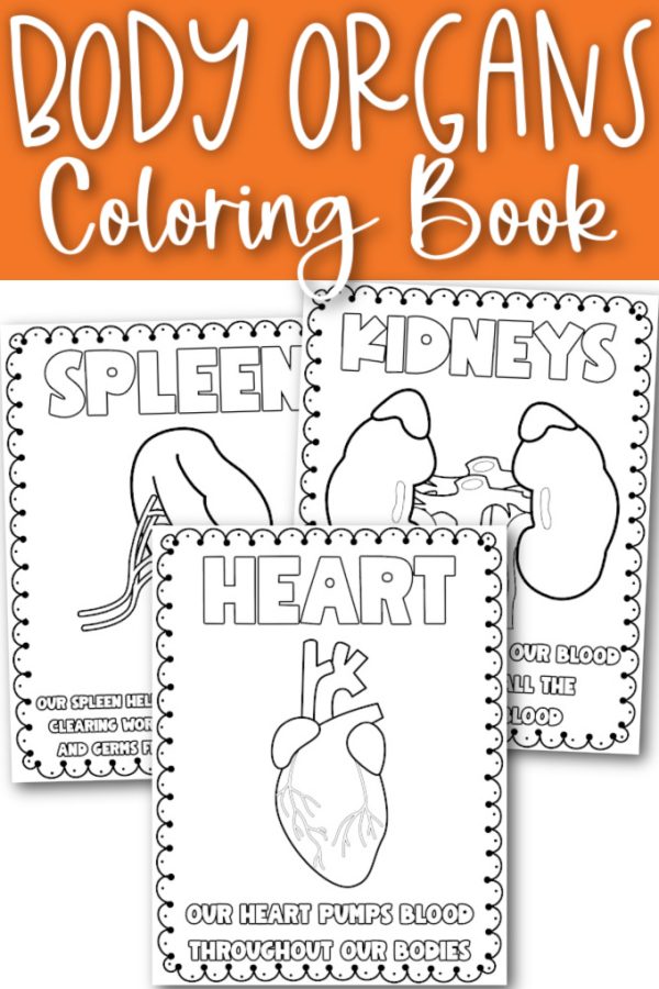 free coloring pages for elementary school students about body parts free coloring sheets