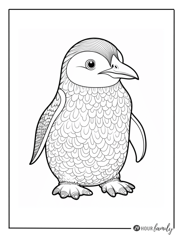 mandala penguin coloring page