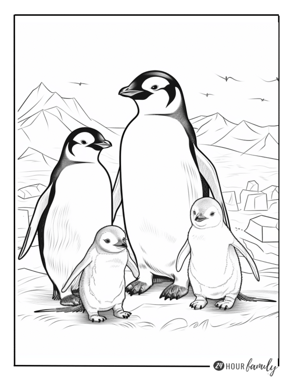 penguin family coloring pages free printable coloring pages