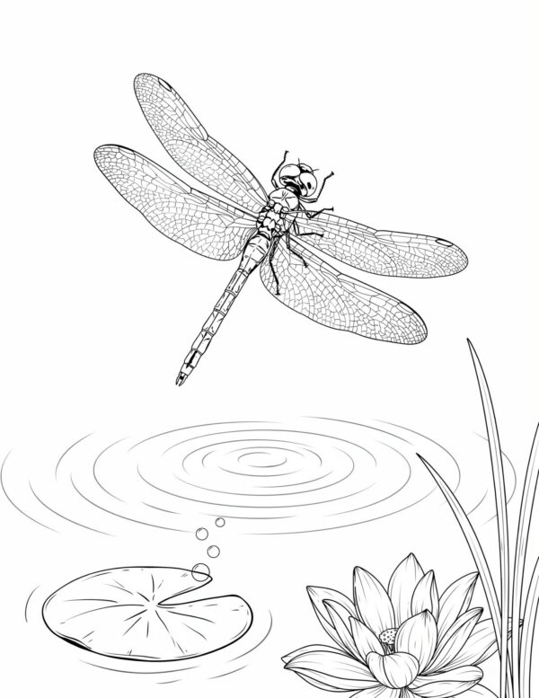 A delicate dragonfly template ideal for practicing fine brush control on transparent wings.