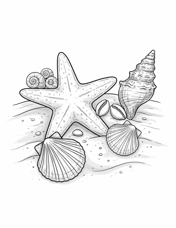 A beach-themed collection of shells perfect for summer painting and coastal décor.