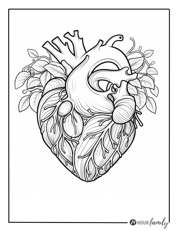 aorta heart coloring pages for kids and adults learn about the heart coloring pages