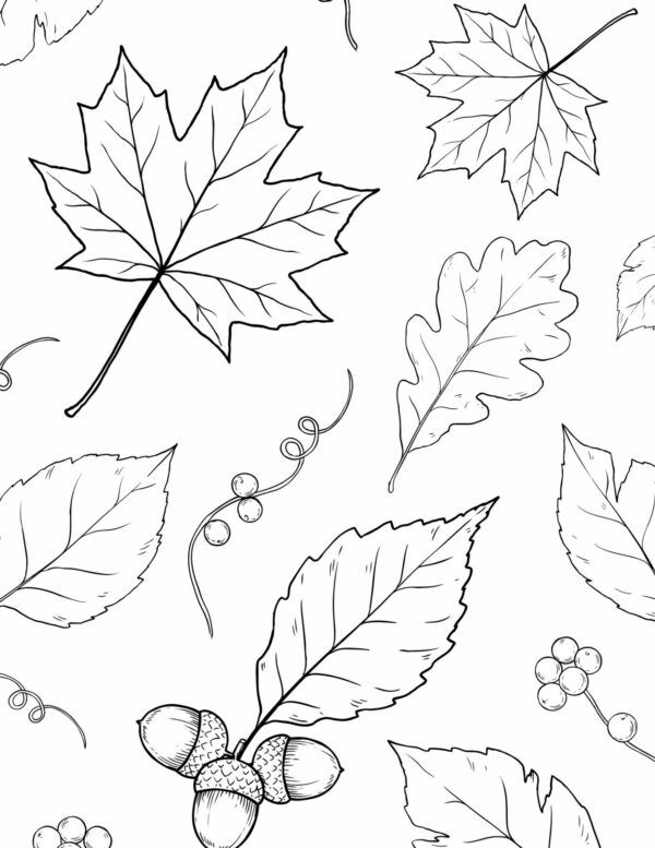 A collection of fall leaves ideal for practicing warm reds, oranges, and golden browns.