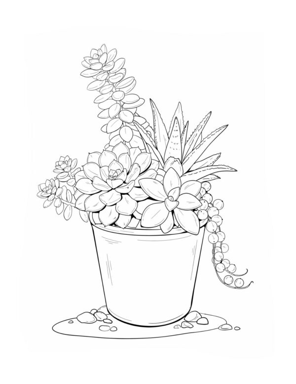 A trendy potted succulent arrangement ideal for layering greens from mint to forest.