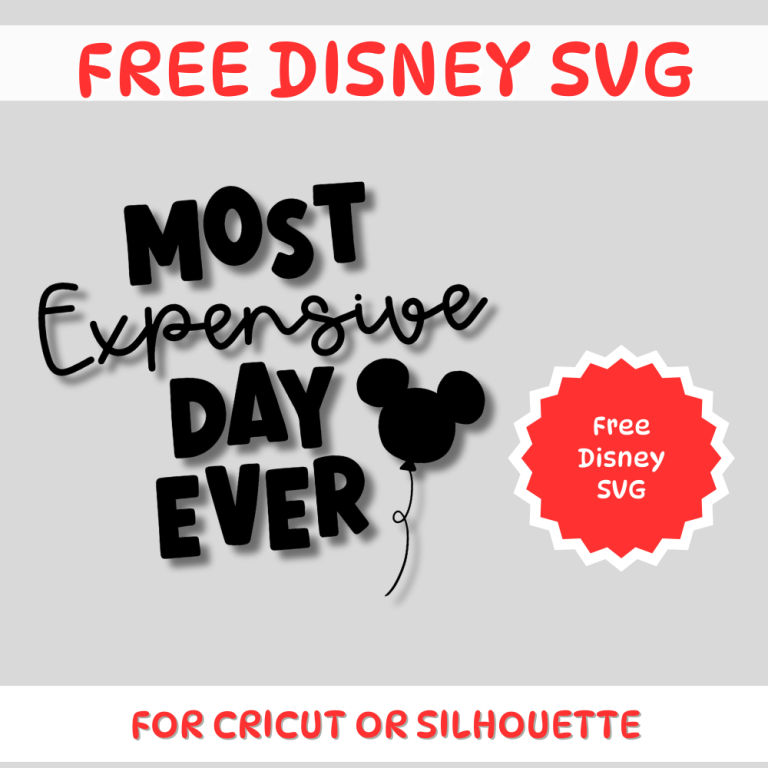 Free Disney SVG Most Expensive day ever svg for disneyworld disneyland