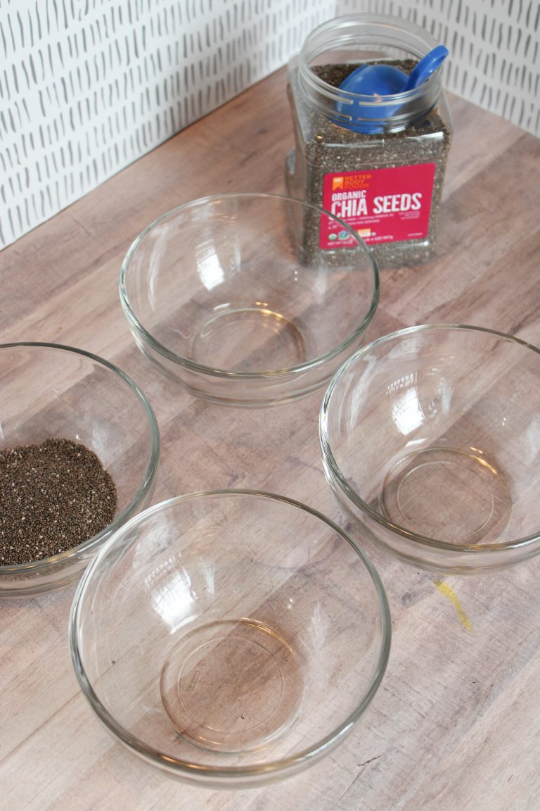 How to Make Chia Seed Slime