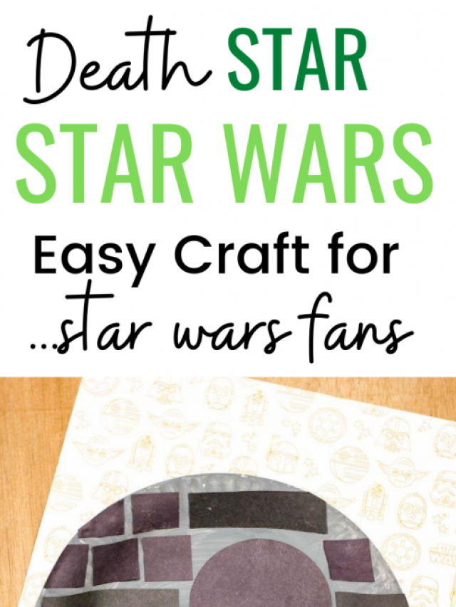 Star Wars Paper Plate Craft for Kids