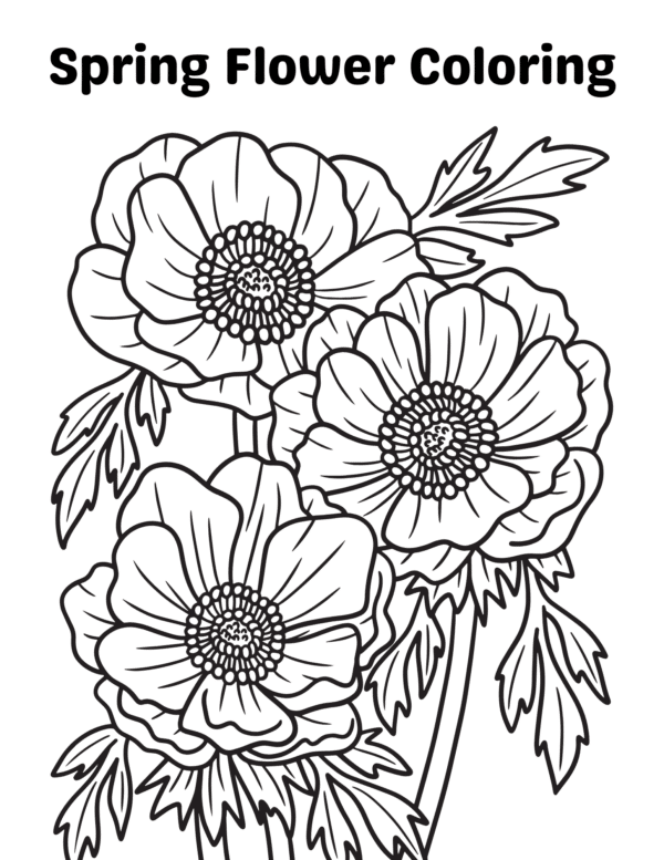 A coloring page of a flower bouquet with the title "Spring Flower Coloring"