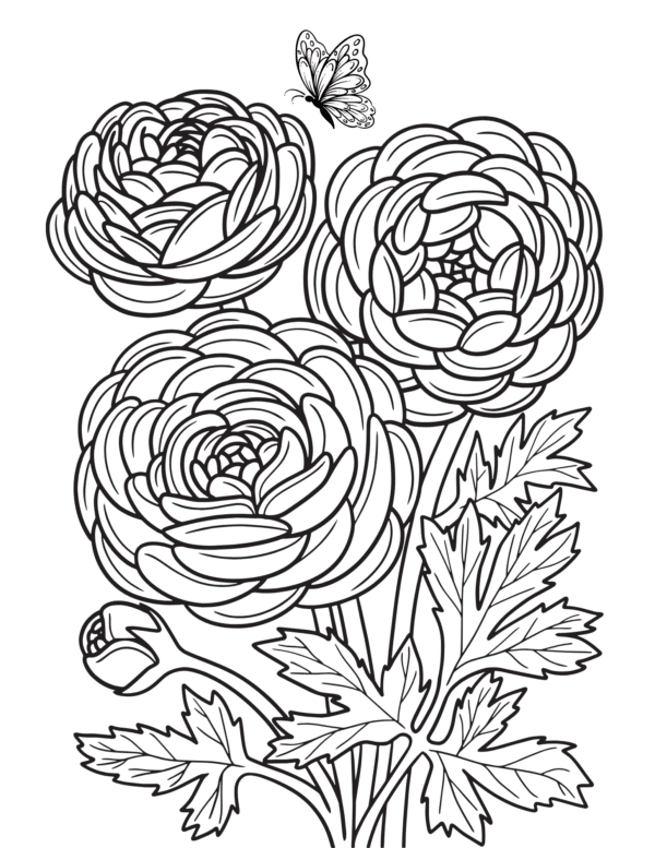 A coloring page with large flowers and a butterfly above them.