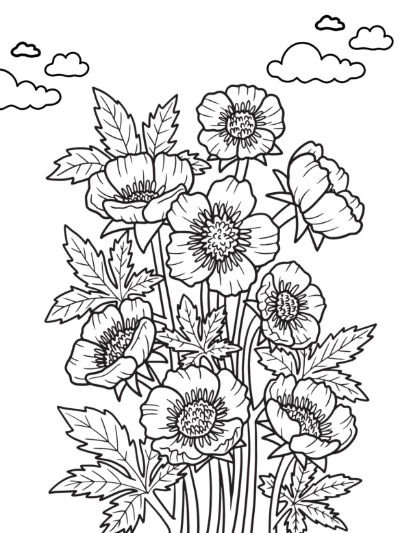 A coloring page with detailed leaves and petals. The flowers are tall and grouped together, while small clouds appear in the background.