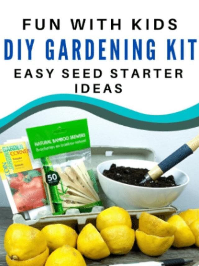 Make a Simple Garden Kit this Spring with your Kids