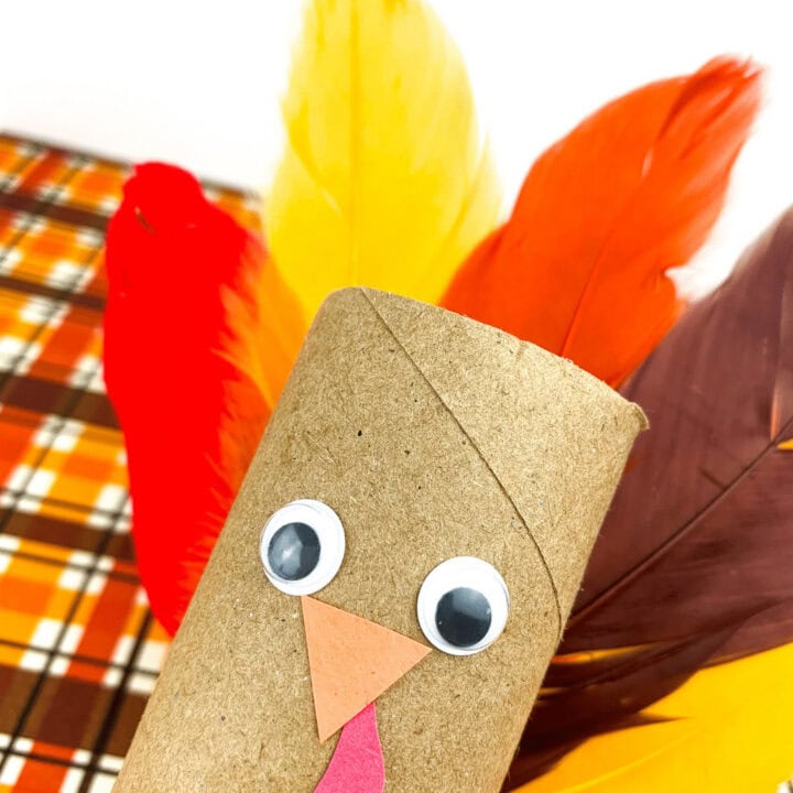 cute turkey toilet paper roll crafts for fall thanksigiving