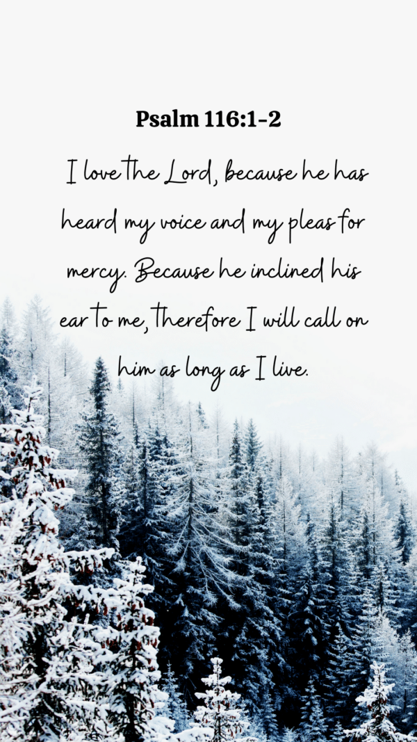 Bible Verse for Phone, Christian Wallpapers, Phone Wallpapers, Beautiful Wallpapers, Bible Verses, Constant Reminder, Bible Verse Laptop Wallpaper, Collection of Wallpaper, Aesthetic Wallpaper, Custom Wallpaper, Amazing Wallpaper