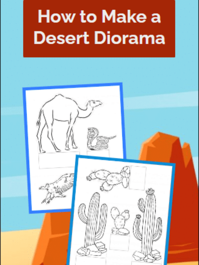 How to Make a Desert Diorama Science Project, DIY Project for Kids, Kids Activity, Desert Diorama, Science Project for Kids, Desert Animals, Cactus in the Desert