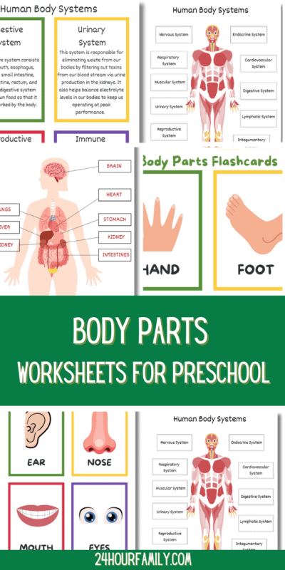 Free Human Body Worksheets for Kids