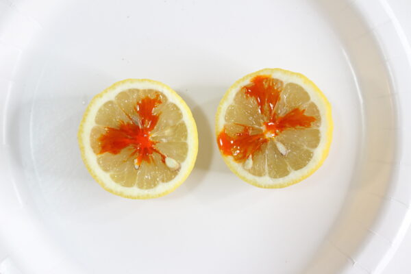 add food coloring to the lemon to see add color to the volcano